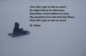 Dr Suess quote