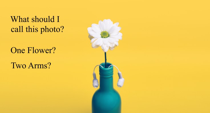 Flower from stocksnap text